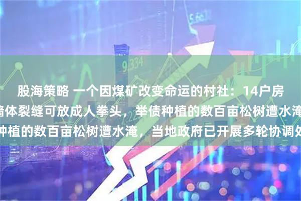 股海策略 一个因煤矿改变命运的村社：14户房屋开裂，6户成危房，墙体裂缝可放成人拳头，举债种植的数百亩松树遭水淹，当地政府已开展多轮协调处理