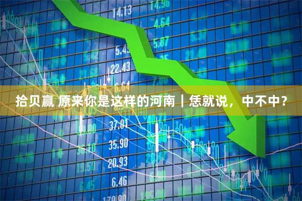 拾贝赢 原来你是这样的河南｜恁就说，中不中？
