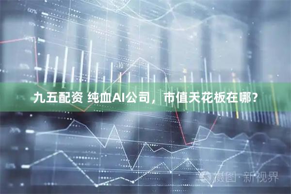 九五配资 纯血AI公司，市值天花板在哪？