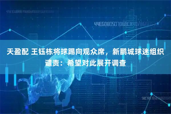 天盈配 王钰栋将球踢向观众席，新鹏城球迷组织谴责：希望对此展开调查